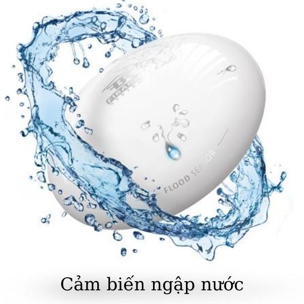 cam-bien-chong-ngap-nuoc