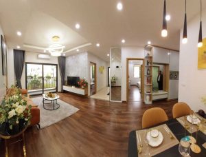 nha-mau-can-ho-tecco-diamond-thanh-tri-tong-the